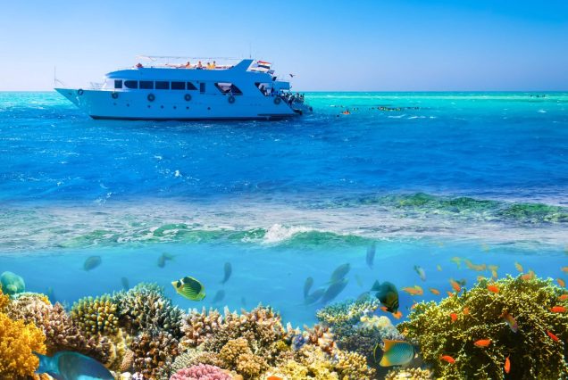 Privater Bootsausflug Hurghada Sandbank und Schnorcheln