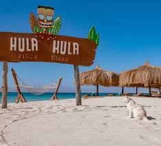 Privater Speedbootsausflug Hula Hula Island